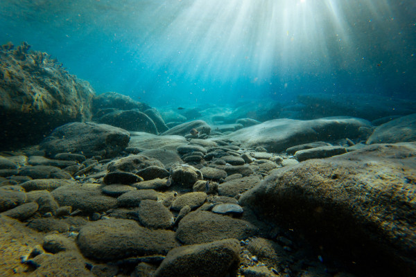 Light shines on sea floor