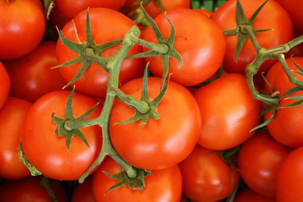 Tomatoes on the vine