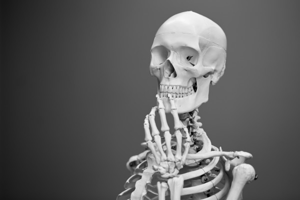 A posing mannequin skeleton