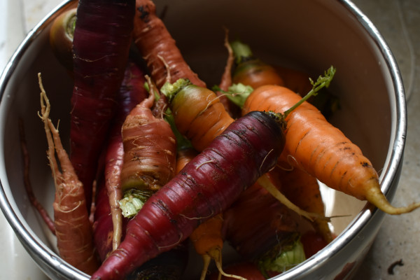 Colourful carrots in a mixing bowl