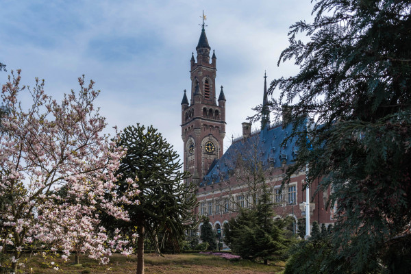 The Hague courts of justice