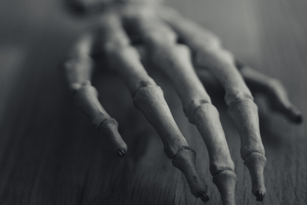 A human skeleton arm and hand