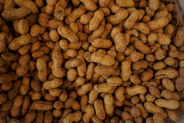 Pile of peanuts