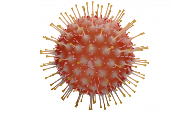 An artist's interpretation of a coronavirus particle.