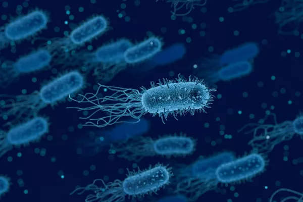 Artists impression of bacteria