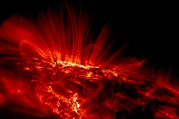 Solar flares on the sun's surface.