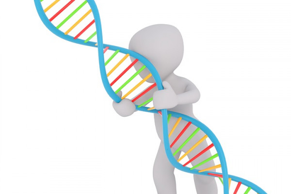 A figure pulling apart strands of DNA