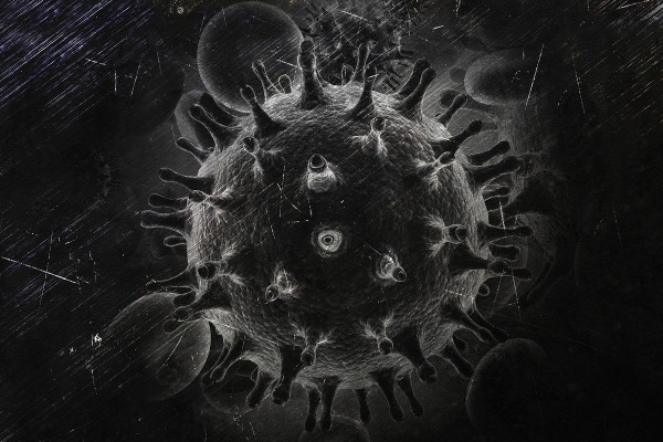 A greyscale computer image of a HIV virus particle