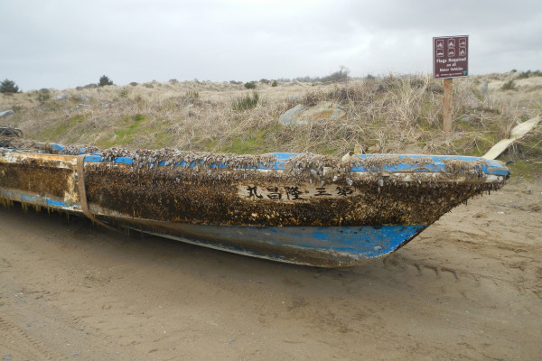 Japanese boat swamped by the 2011 tsunami washes up in America