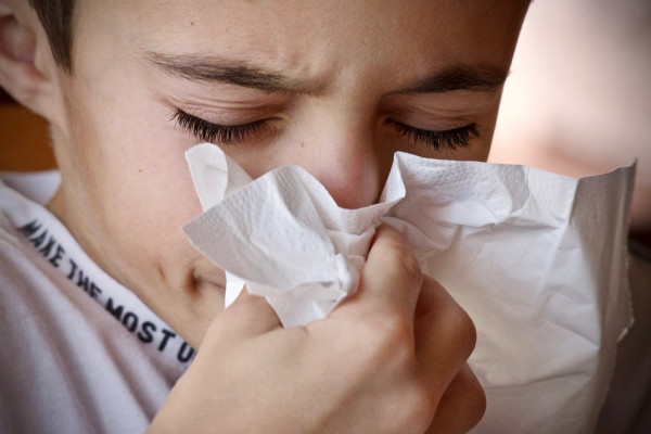 A child with a runny nose and sneezing into a handkerchief