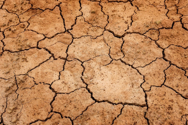 Dry, cracked soil