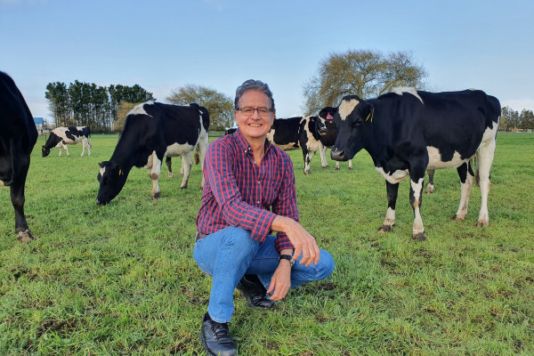 Lindsay Matthews with cows