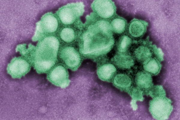 Influenza virus particles