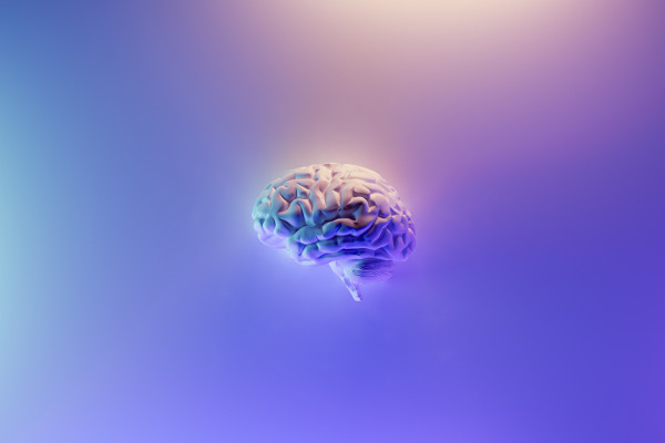 Model of brain with purple hue