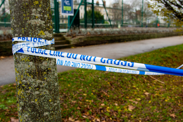 Crime scene tape over a tree