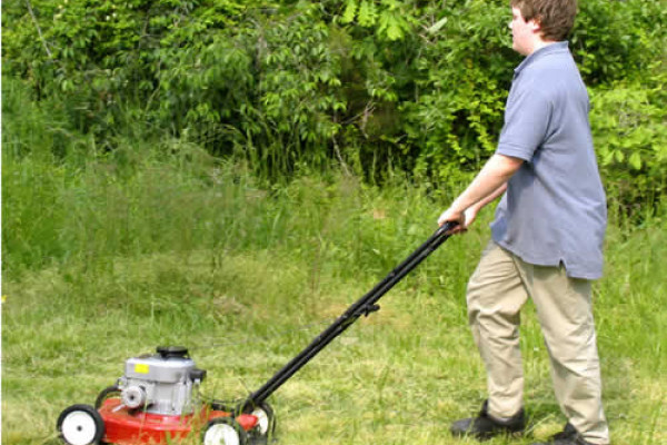 Mowing the grass