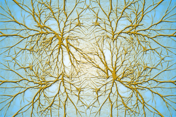 Artists illustration of nerve cells (neurones)