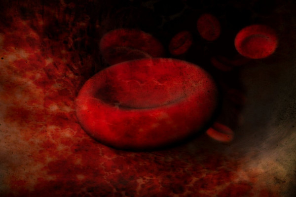 An artists impression of red blood cells