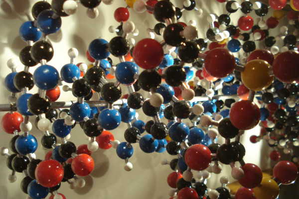 DNA Molecule display