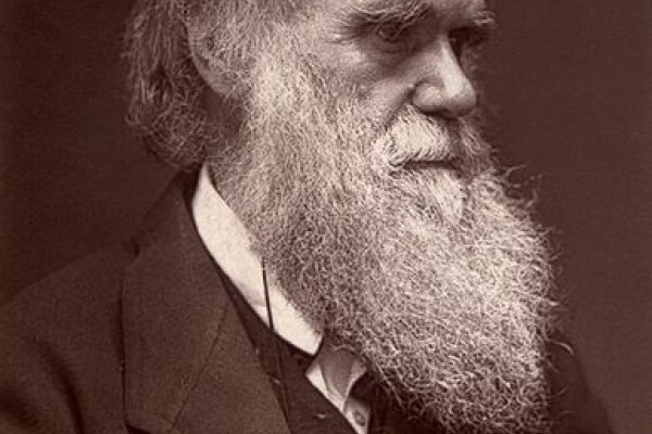 A Woodburytype carte de visite photograph of Charles Darwin, published by John G. Murdoch.