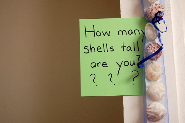 How Many Shells Tall are You?