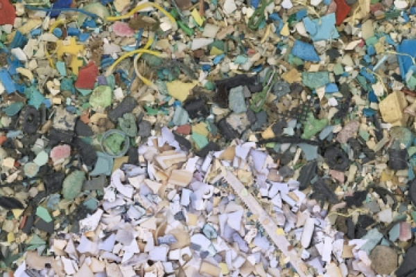Tiny pieces of plastic can enter the food chain, endangering marine animals and humans.