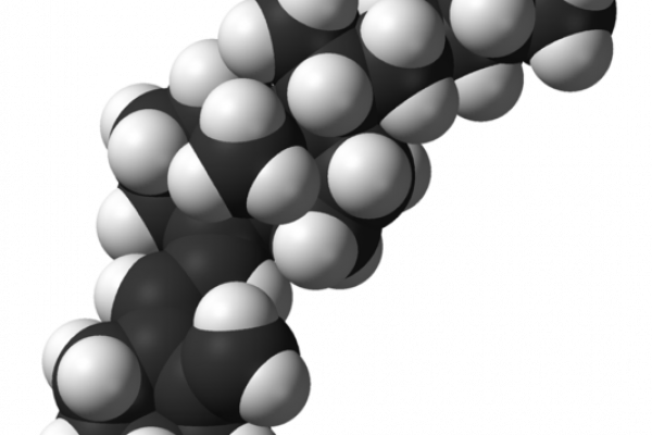 Space-filling of the cholecalciferol molecule (vitamin D3), C27H44O, as found in the crystal structure.