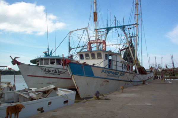 Mexican fishing boats