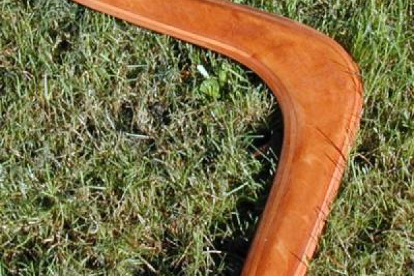 A typical wooden boomerang.