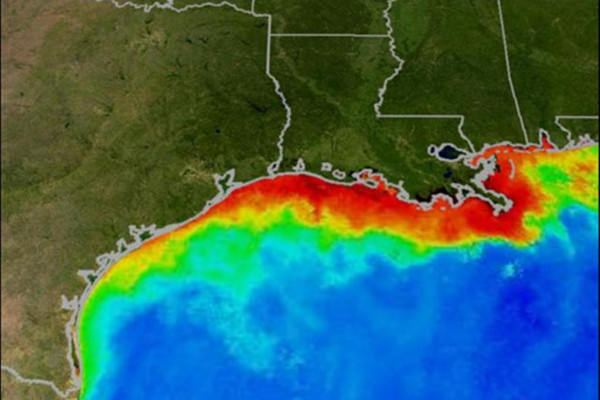 The Dead Zone in the Gulf of Mexico