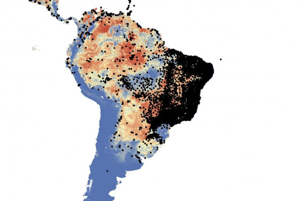 Mapping the distribution of mosquitoes: Aedes aegypti and Aedes albopictus are now increasing their geographical spread but also their numbers and overall health burden on the population.