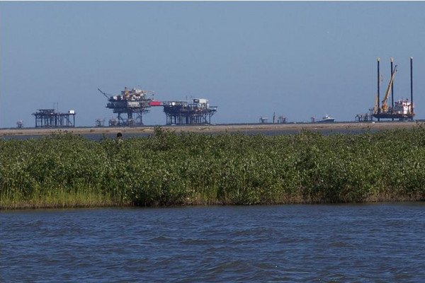 As well as providing a haven for life and a nursery for newborn fish, the Louisiana Wetlands contain massive oil and gas reserves.