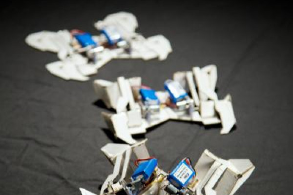 Origami Robot