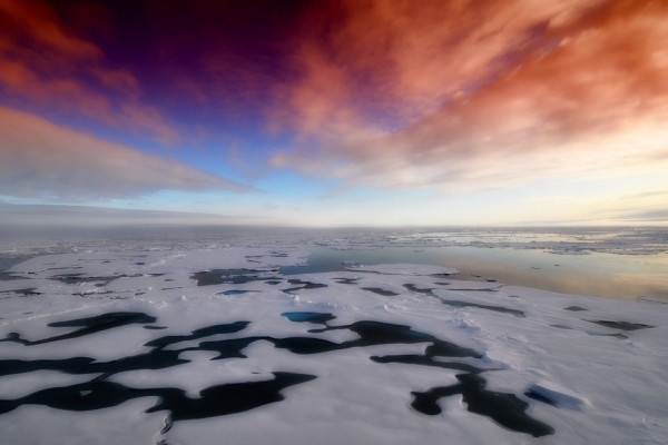 The Arctic sea