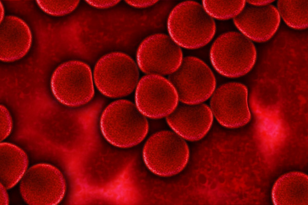 Artist's impression of red blood cells