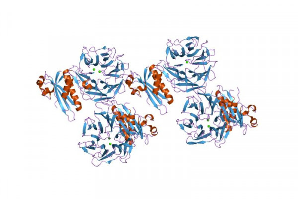 Colicin N toxin structure