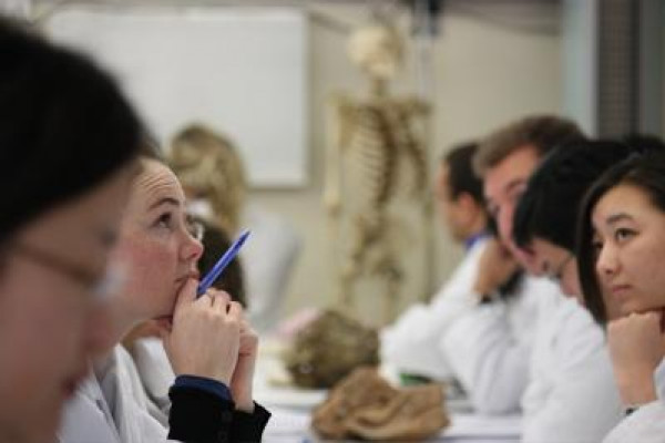 Learning from beyond the grave - medical students in the Dissection Room