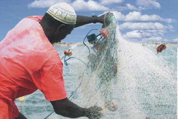 Fisherman, Saloum estuary, Senegal