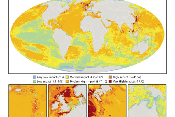 A global map of the overall impact that 17 different human activities are having on marine ecosystems. Insets show three of the most heavily impacted areas in the world, and one of the least impacted areas. Image courtesy of B.S Halpern / Science