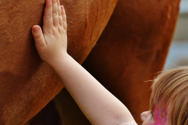 A young girl stroking a horse