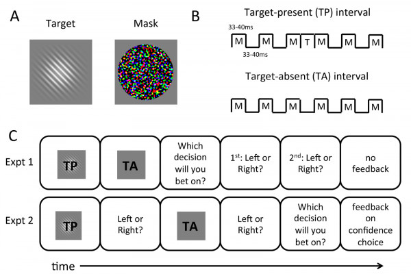 Human observers have optimal introspective access to perceptual processes even for visually masked stimuli