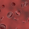 Red blood cells (erythrocytes) that contain the oxygen-carrying chemical haemoglobin