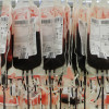 Blood bags
