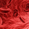Blood smear, blood cells