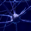 A CGI image of a neuron, coloured purple