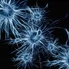 Artist's graphic representing nerve cells (neurones)