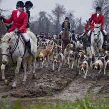 Fox hunting