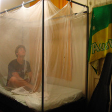 Mosquito Net