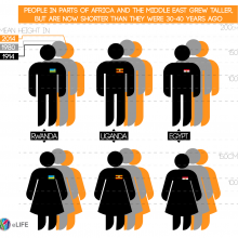 A large scale study reveals how human height has changed in the last 100 years.