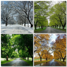 Seasons